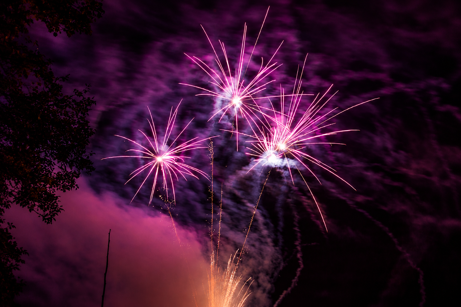 The Angle Bonfire Night